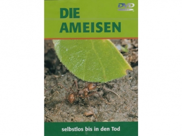 Die Ameisen (DVD)