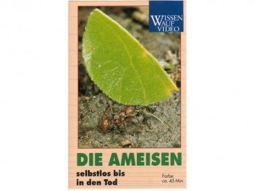 Die Ameisen (VHS)