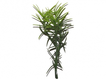Steckpflanze I