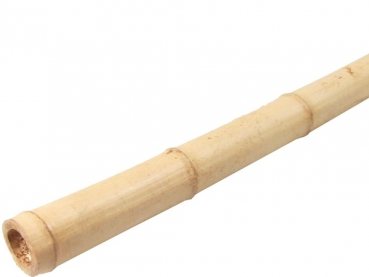 Bambusrohr gelb, natur (Moso gelb) 3-4x100cm