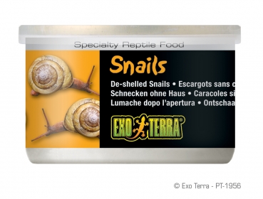EX Snails PT1956