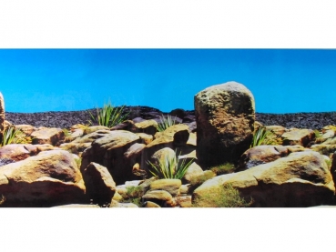 Fotor�ckwand Vulcan Island 60x120 - 31186