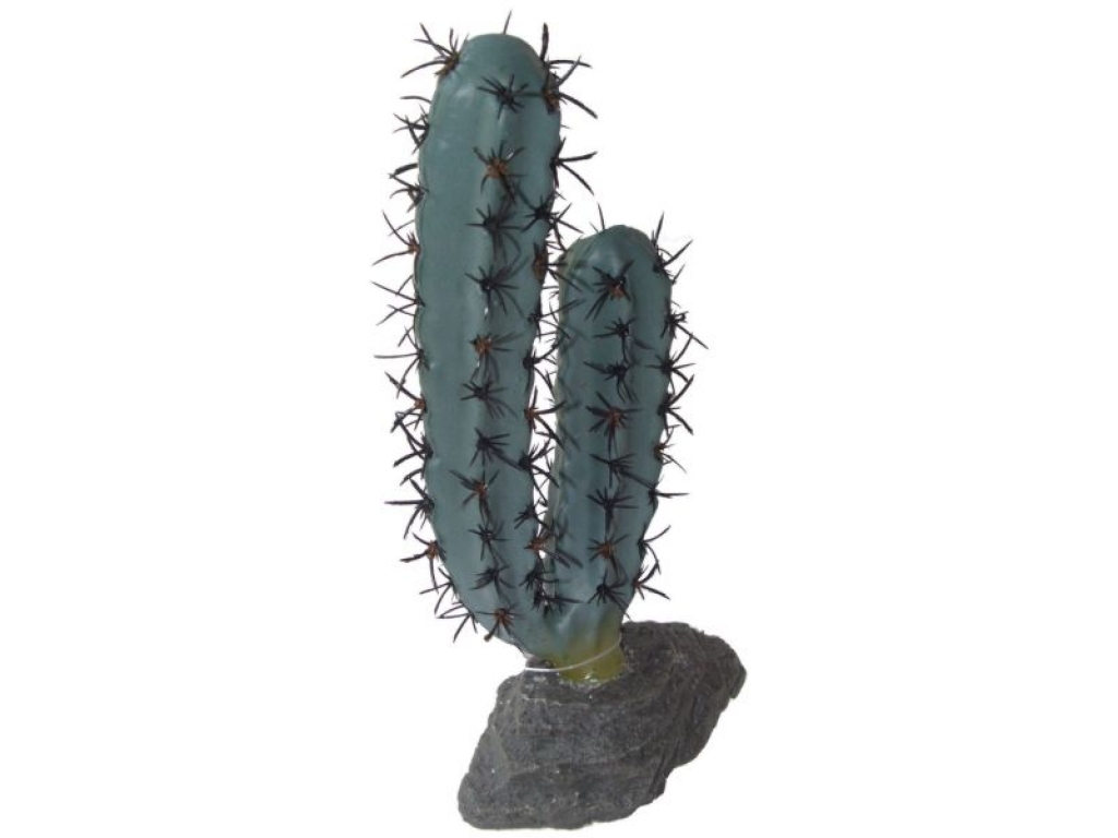Finger Kaktus