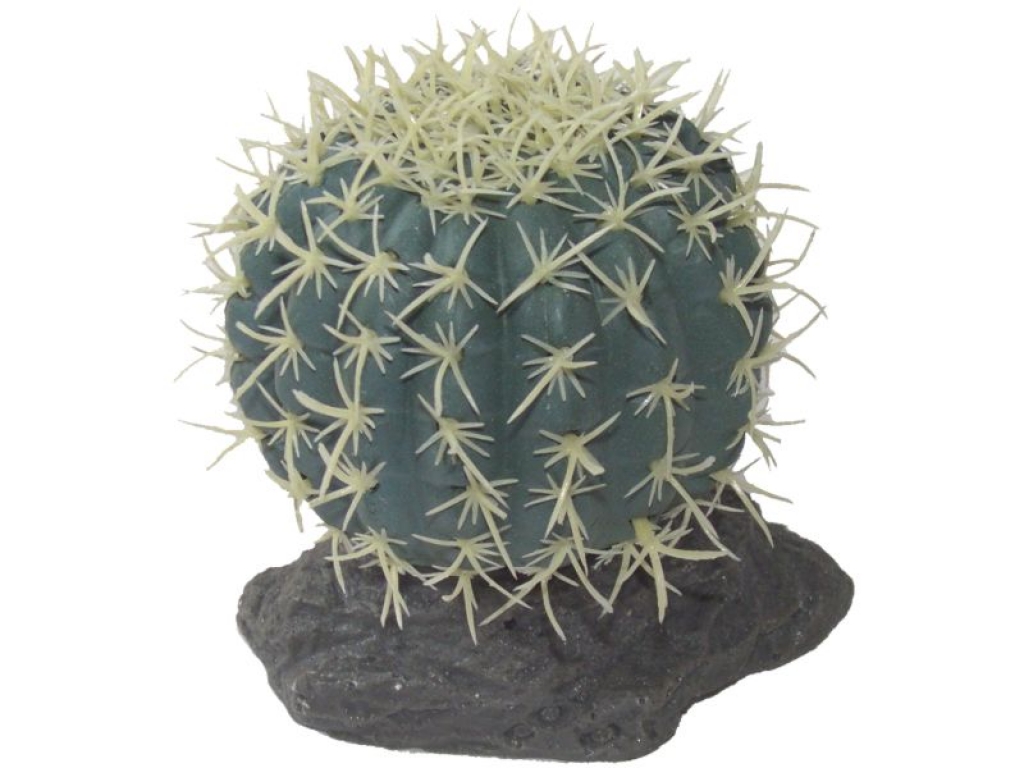 Nadelkissen Kaktus