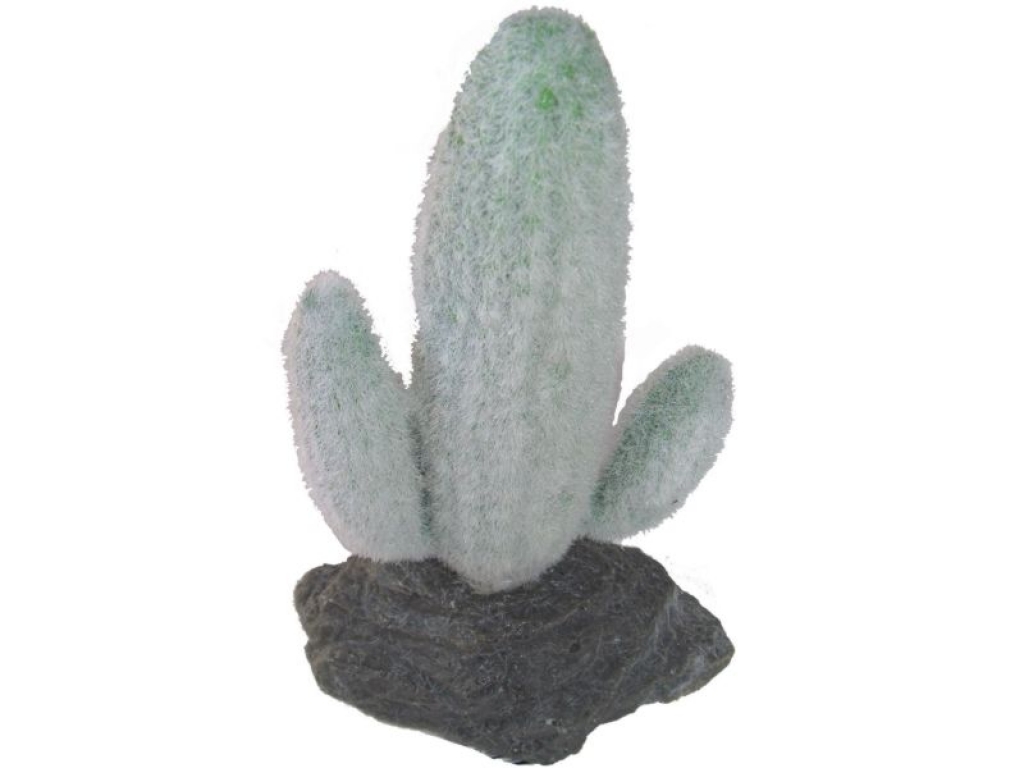 Mexikanischer Saguaro Kaktus