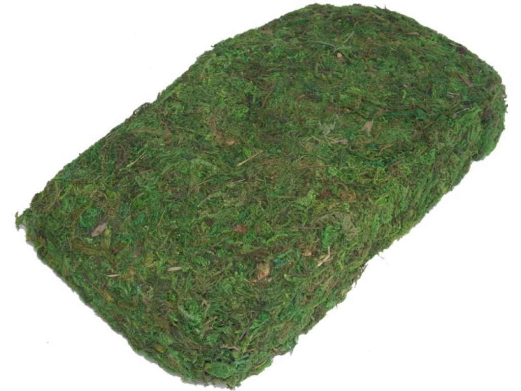 Lappenmoos, getrocknet, nachgef&auml;rbt, 4 Liter