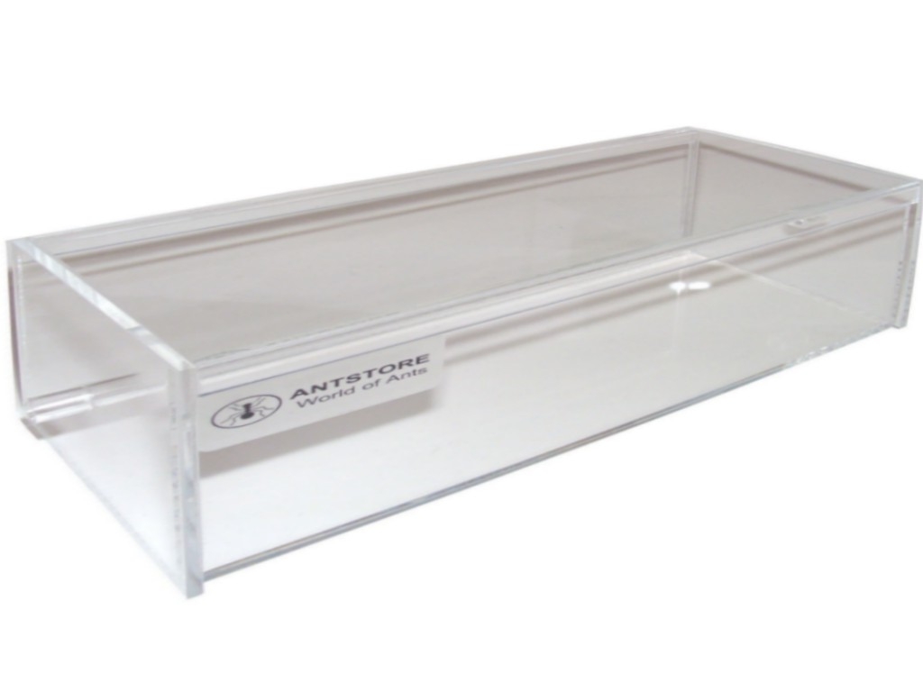 Acryl Ant Box 20x12,5x5,5