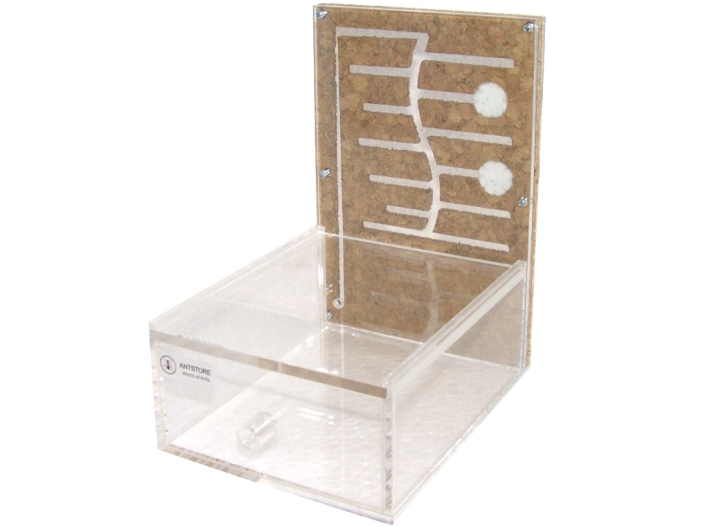 Acryl Labyrinth Box II Kork