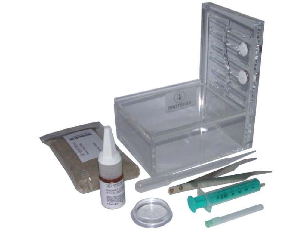 ANTSTORE Starter Set - Labyrinth