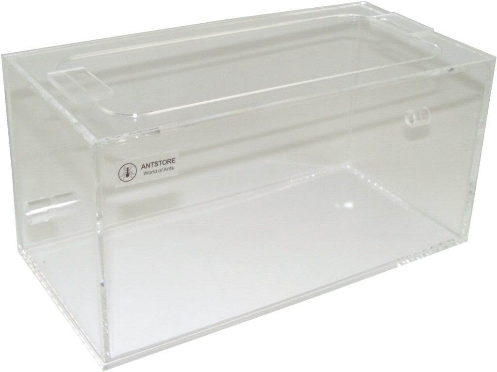 Acryl Ant Box 20x10x10