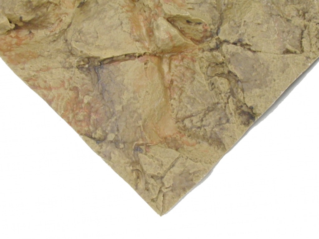 Felsr&uuml;ckwand Desert Sand 59x38cm - gelb - 1281