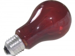 nightlight red 60 W