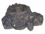 Tree Planter medium
