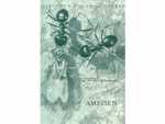 Book: Ameisen - v. Prof. Dr. Otto Scheerpeltz