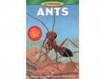 Buch: Investigate Ants