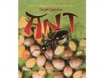 Buch: The Life Cycle of an Ant