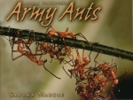 Buch: Army Ant