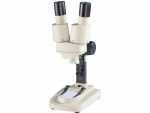 Impinging light Biolux ICD 20x