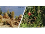 Photo rear wall, reciprocally, 10cm x 45cm