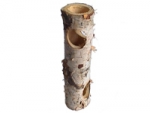 Ameisen Baumstamm 20 cm