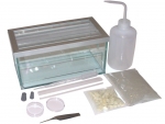 Starter Set - B