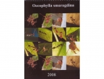 Calender: 2008 - Oecophylla smaragdina