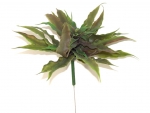 Steck- Earth Star Tillandsie (mit Draht)