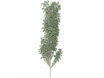 Steck- Anigozanthos grau (mit Draht)