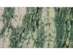 Fotor�ckwand Baumstamm, beidseitig, 10cm  x 50cm