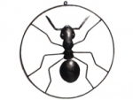 ANTSTORE Deko-picture ant in circel
