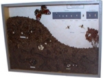 Show-Case: Formica rufa 2