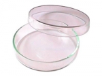 petri dish 100 x 20 mm