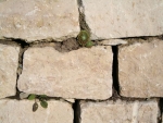 Rear wall 30x20cm stone 002
