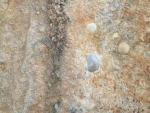 Rear wall 30x20cm stone 011