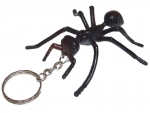 Ants key supporter