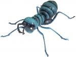 magnetic ant blue