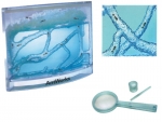 Antworks
