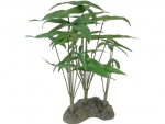 Arrowhead-Seiden-Pflanze 27cm