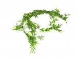 BAMBOO Garland