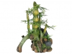 Bambusbonsai 21cm