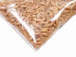 Gammarus 1Kg