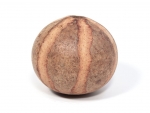 Glockenk�rbis - Bel Pumpkin