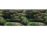 R�ckwand 60x30cm Felsen-Pflanzen