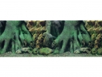 R�ckwand 60x30cm Wurzel-Pflanzen