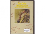 Lehrfilm: Die rote Waldameise - Leben im Insektenstaat (DVD)
