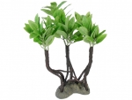 Mangroven-Seiden-Pflanze 30cm