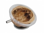 Walnuss-Satellitensch�ssel-Nest