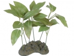Pondweed-Seiden-Pflanze 22cm Laichkrautgew�chs