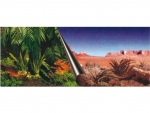 R�ckwand 60x30cm Jungle + Desert