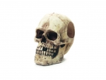 Totenkopf 10cm - 78489